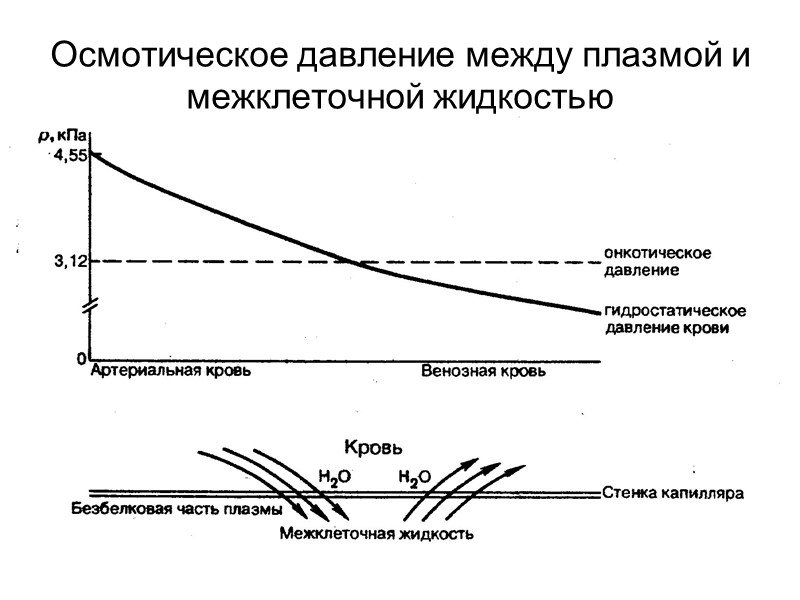 Осмотическое давление между плазмой и межклеточной жидкостью